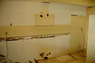 Gutted9
